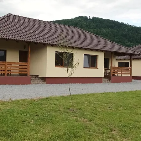 بيت للعطل Betula *